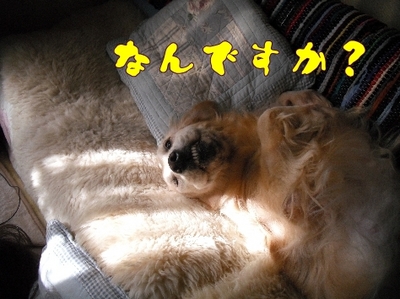 1お天気4.jpg