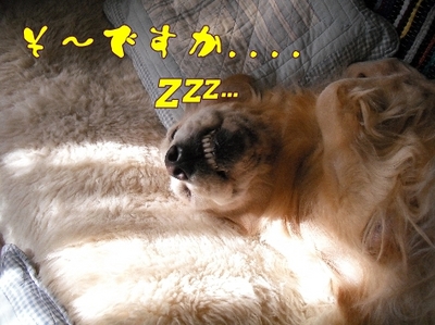 1お天気5.jpg