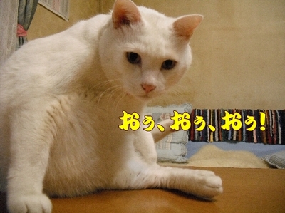 1お天気6.jpg
