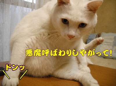 1お天気7.jpg