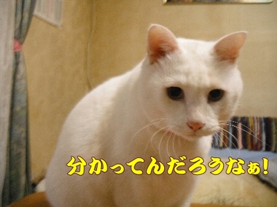1お天気8.jpg