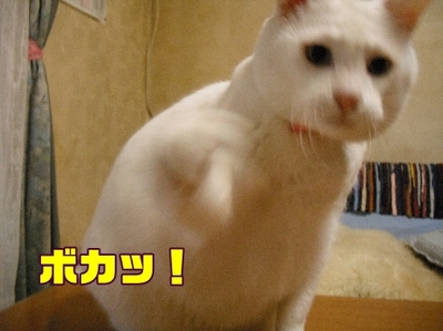 1お天気9.jpg