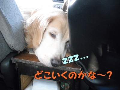 1さくら家01.jpg