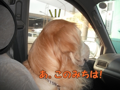 1さくら家02.jpg