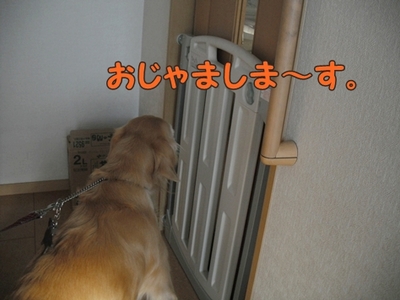 1さくら家04.jpg
