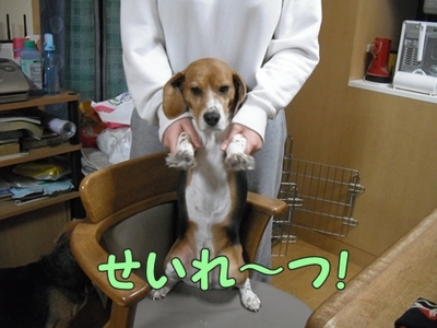 1さくら家09.jpg