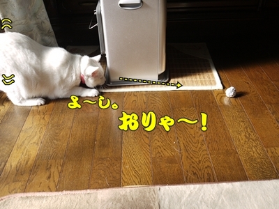 1さくら家13.JPG