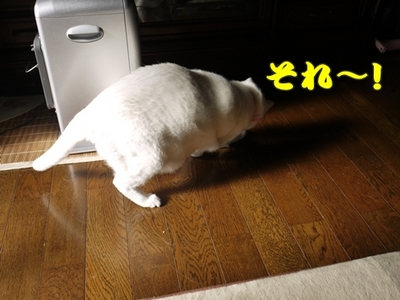 1さくら家14.JPG