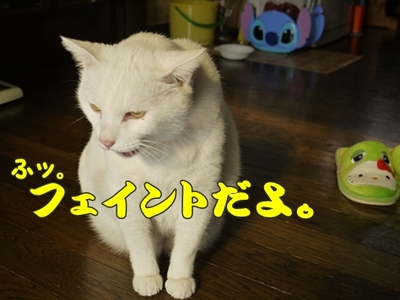 1さくら家16.JPG
