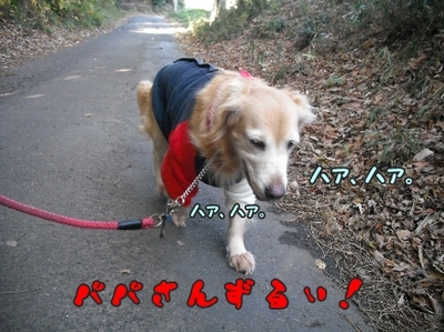 1しこふんじゃった5.jpg