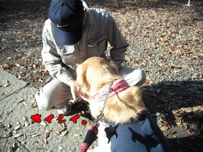 1しこふんじゃった96.jpg