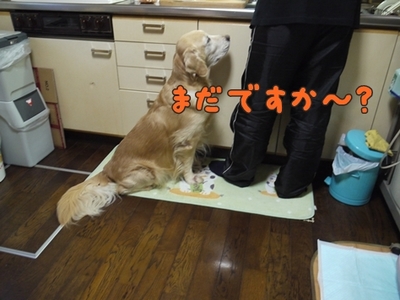 1そーめん02.jpg