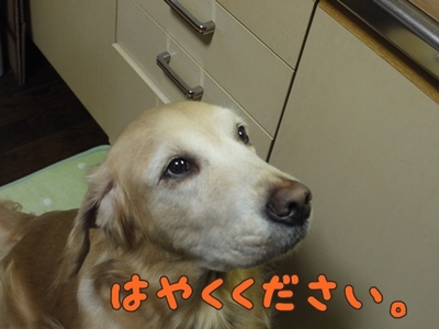 1そーめん04.jpg