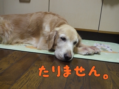 1そーめん05.jpg