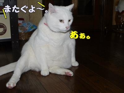 1そーめん06.jpg