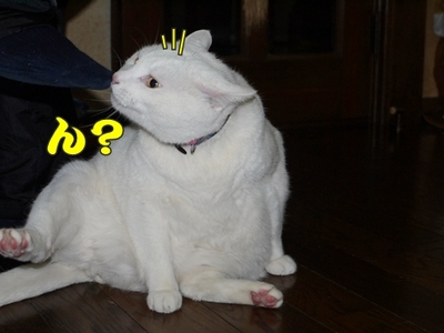 1そーめん07.jpg
