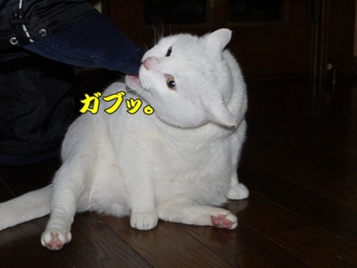 1そーめん09.jpg