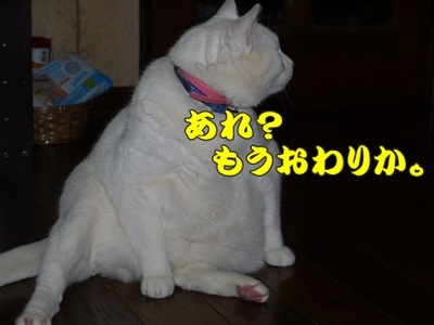 1そーめん10.jpg