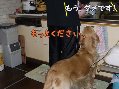 1そーめん13.jpg