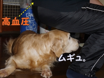 1そーめん14.jpg