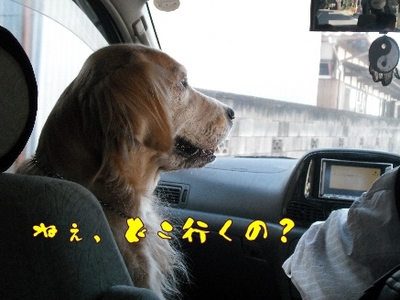 1どまんなか2.jpg