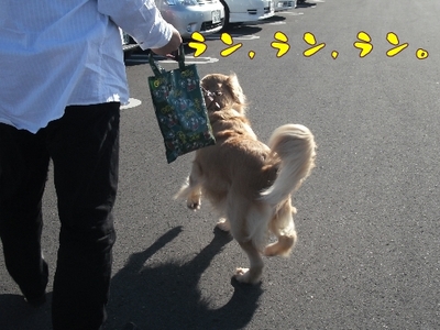 1どまんなか3.jpg