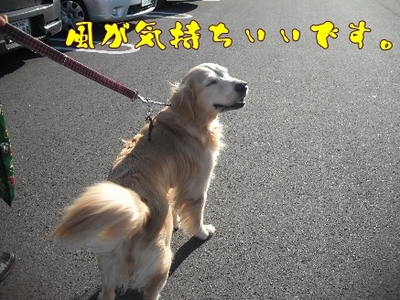 1どまんなか4.jpg