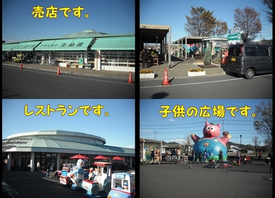 1どまんなか5.jpg