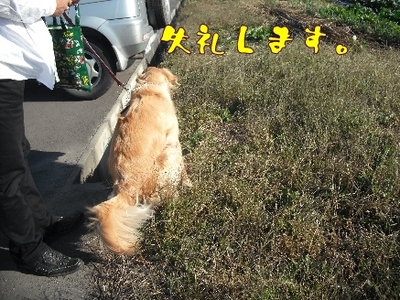 1どまんなか7jpg.jpg