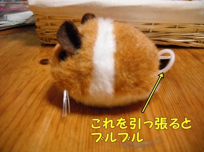 1どまんなか93.jpg