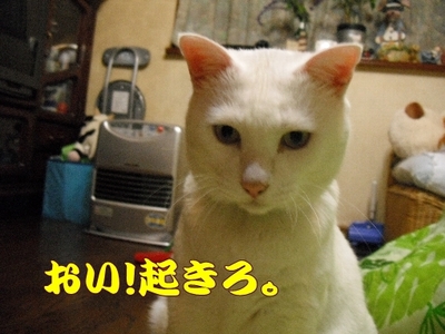 1どまんなか97.jpg