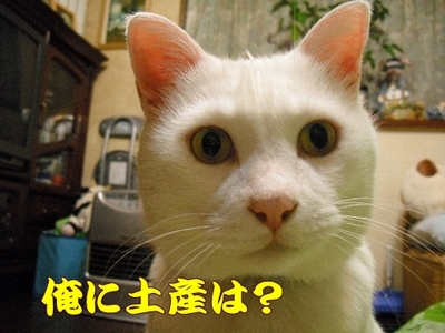 1どまんなか99.jpg