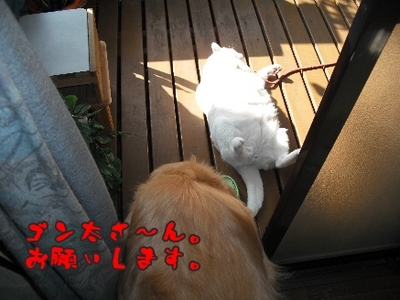 1なに2jpg.jpg
