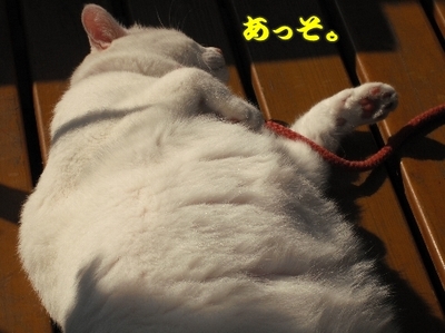 1なに4jpg.jpg