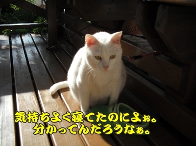 1なに5jpg.jpg
