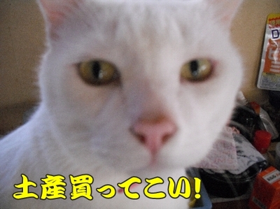 1なに6jpg.jpg