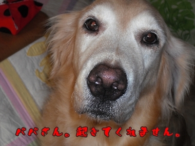 1なに7jpg.jpg