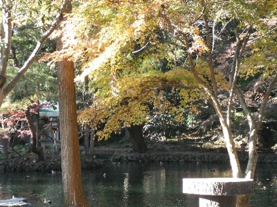 1ゆば07.jpg