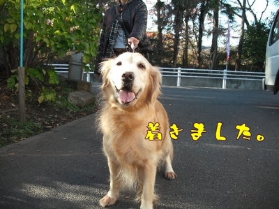 1ゆば15.jpg