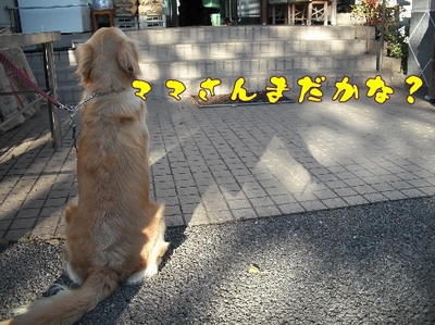 1ゆば19.jpg