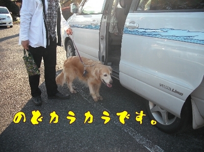 1ゆば23.jpg