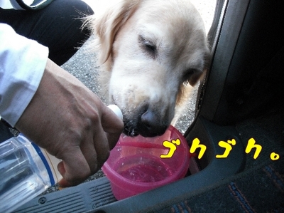 1ゆば24.jpg