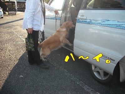1ゆば25.jpg