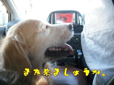 1ゆば26.jpg