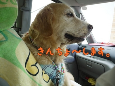 1アウトレット01.jpg