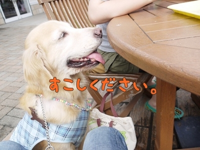 1アウトレット03.jpg