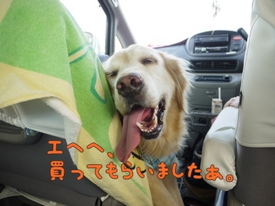 1アウトレット09.jpg
