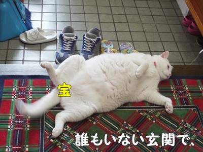 1アウトレット12.jpg