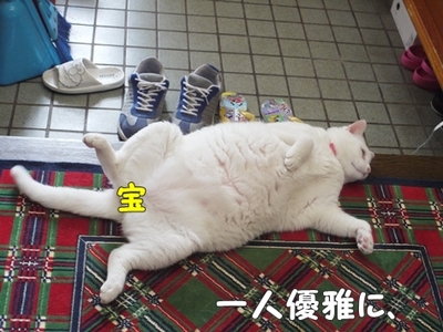 1アウトレット13.jpg