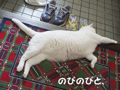 1アウトレット14.jpg
